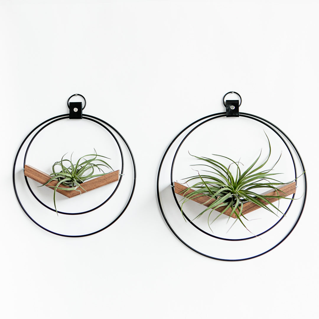 braid and wood plant hanger Braid & Wood V-Hanger – Tainable