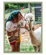 Let's start with why I love llamas, because you may have not known that before!