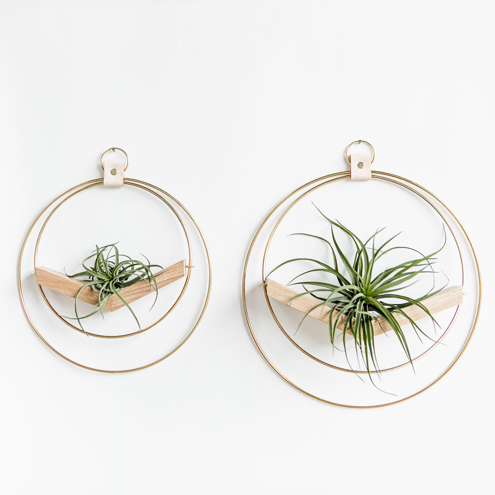 plant hanger wire Braid & Wood V-Hanger – Tainable