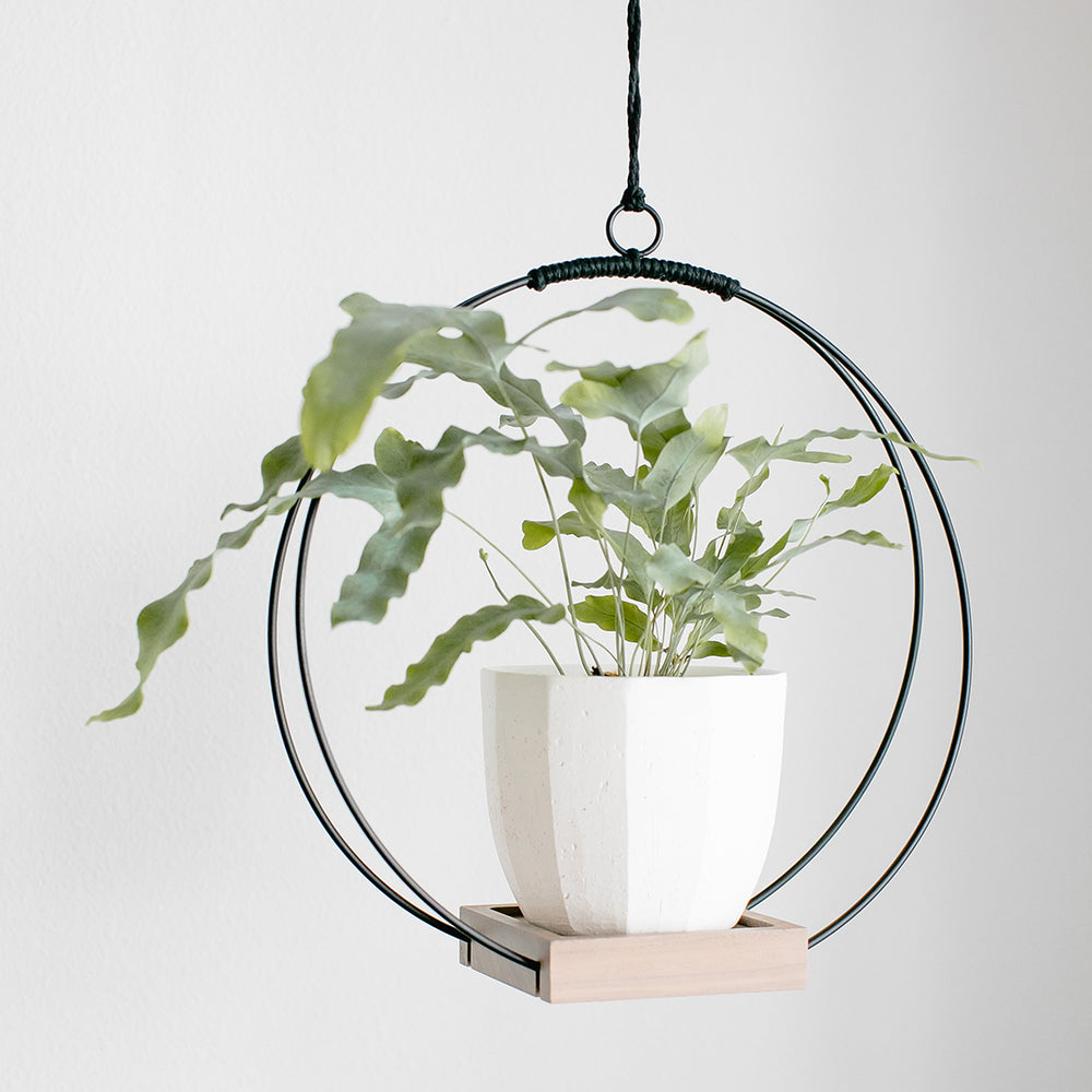 braided plant hanger Braid & Wood Plant Hanger – Tainable