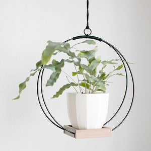 large indoor plant hangers Braid & Wood Plant Hanger – Tainable
