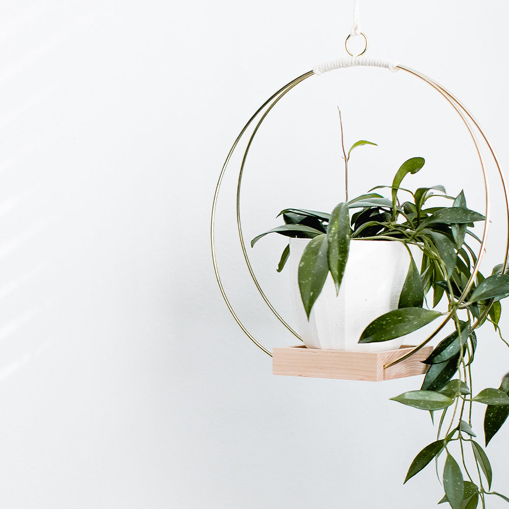braid and wood plant hanger Braid & Wood Plant Hanger – Tainable