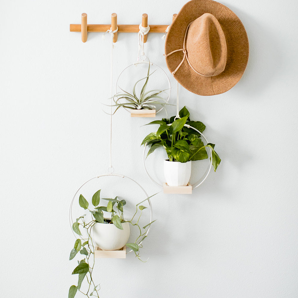 braided plant hanger Braid & Wood Plant Hanger – Tainable