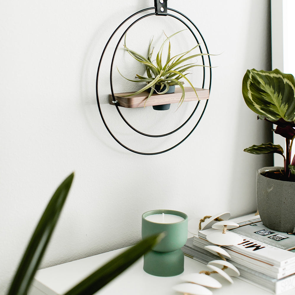 round hanging plant shelf Braid & Wood Plant Shelf – Tainable